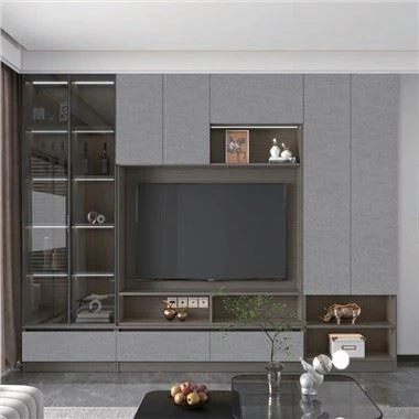 TV spinta